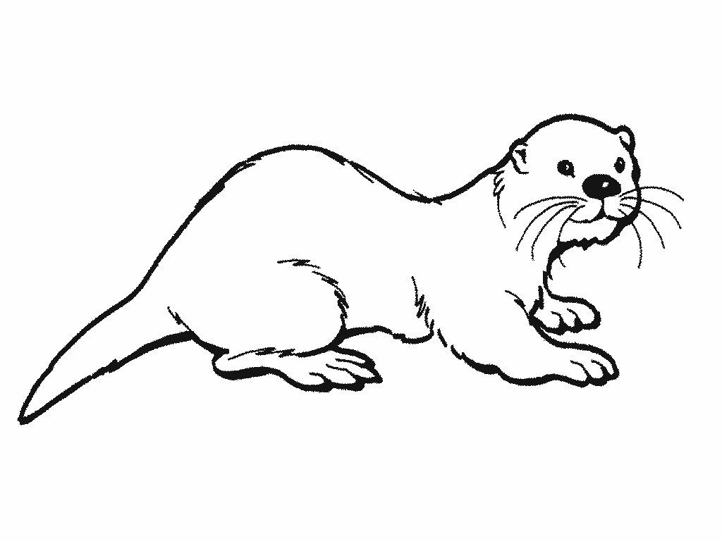 Great image of otter coloring pages