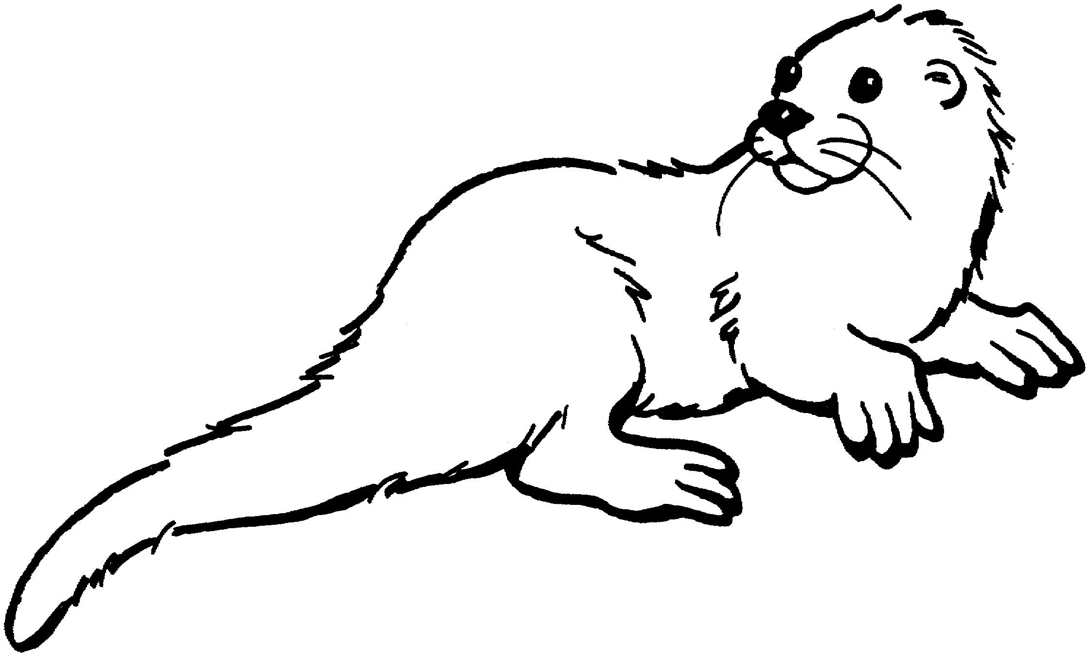 Great image of otter coloring pages