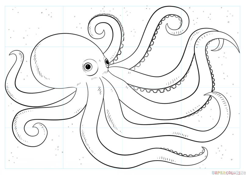 Cãmo dibujar un pulpo tutorial de dibujo paso a paso