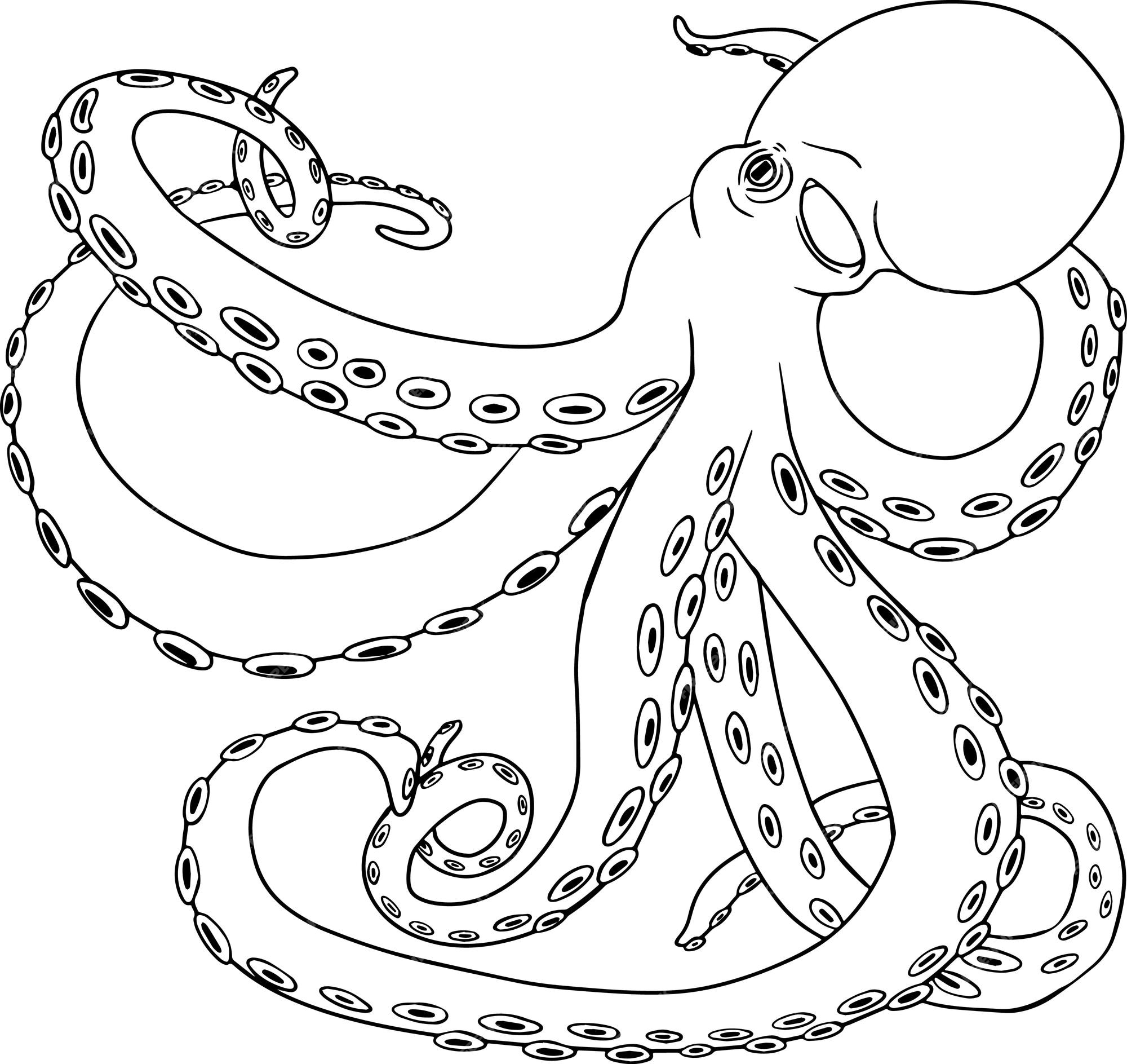 Premium vector octopushand drawn underwater creaturesvector sea life seafood coloring pages with marine animals