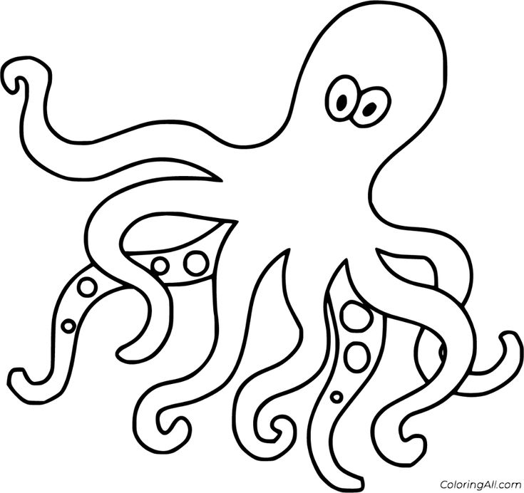 Octopus coloring pages octopus coloring page octopus drawing octopus colors