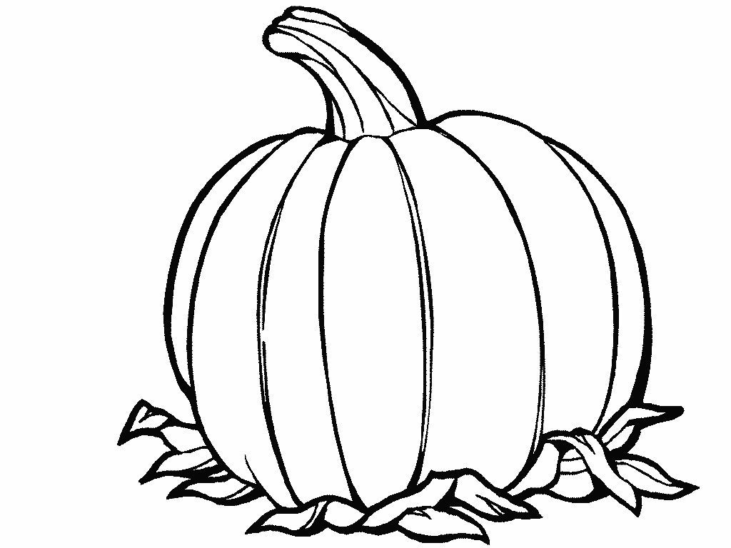 Recursos para educaciãn infantil dibujos para colorear calabazas de otoão pumpkin coloring sheet thanksgiving coloring pages pumpkin coloring pages