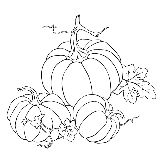 Premium vector angry pumpkin halloween coloring page