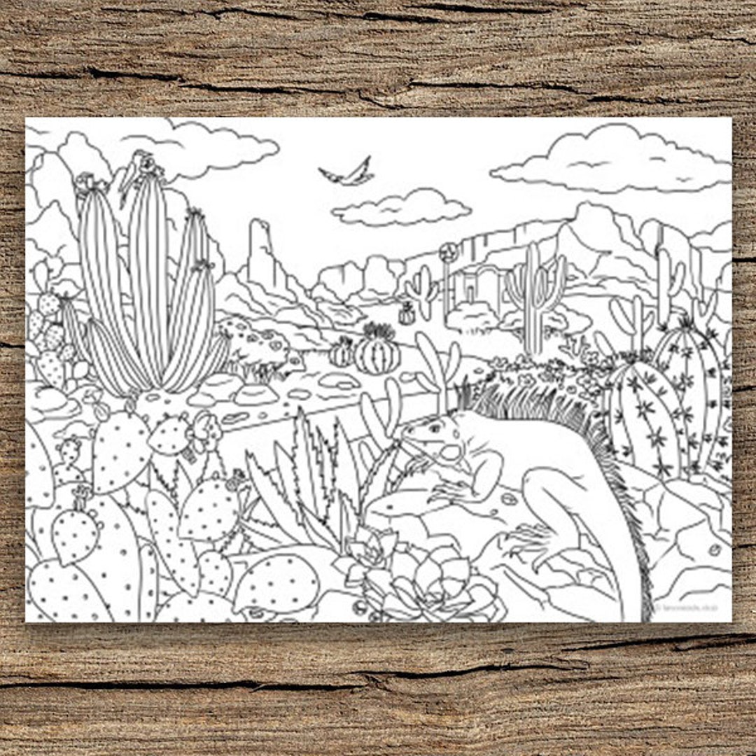 Desert printable adult coloring page from favoreads coloring book pages for adults and kids coloring sheets coloring designs