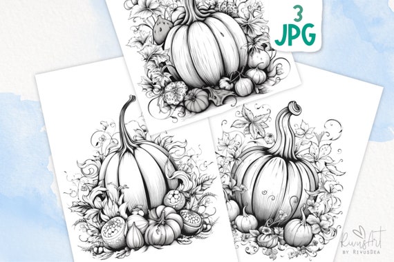 Pãginas para colorear de otoão para adultos vintage hojas para colorear de acciãn de gracias coloraciãn imprimible de calabaza descarga de arte lineal de tinta de calabazas a