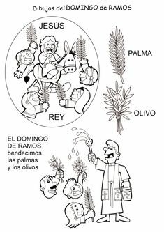 Cabildocofradiasmur on x actividad para los pequeãos de la casa colorea y aprende el significado del domingo de ramos httpstcodixieitk x