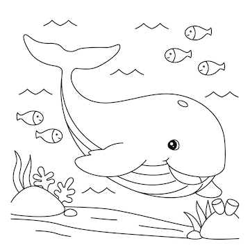 Premium vector whale coloring page for kids