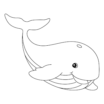 Premium vector whale coloring page isolated for kids