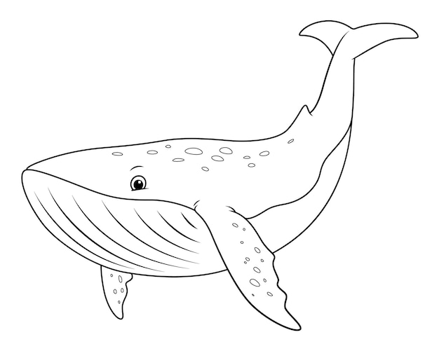 Whale coloring pages images