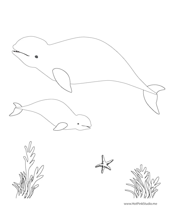 Juego de ballenas beluga pin la aleta en los archivos del juego de cumpleaãos de la ballena y archivos de pãginas para colorear gratis que imprimes mamã y ballena bebã