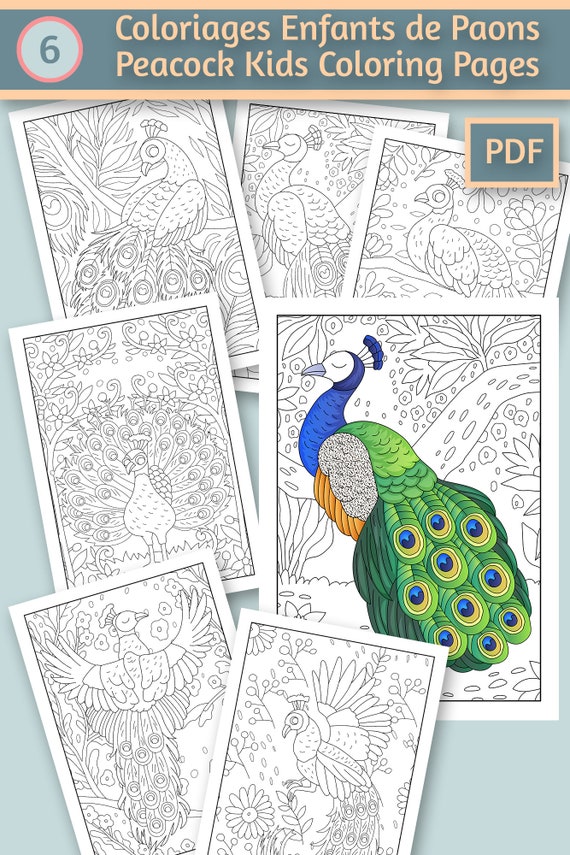 Pãginas para colorear de pãjaros pavo real para niãos nião para colorear pdf colorear digital para imprimir lindo regalo infantil