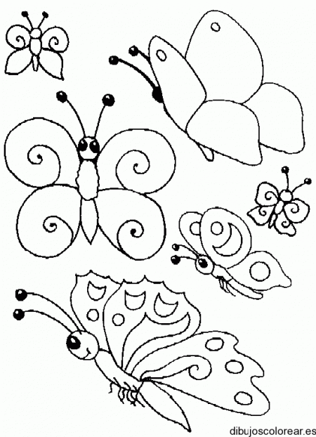 Dibujo colonia de mariposas dibujos para colorear dibujos para colorear dibujos primavera mariposas