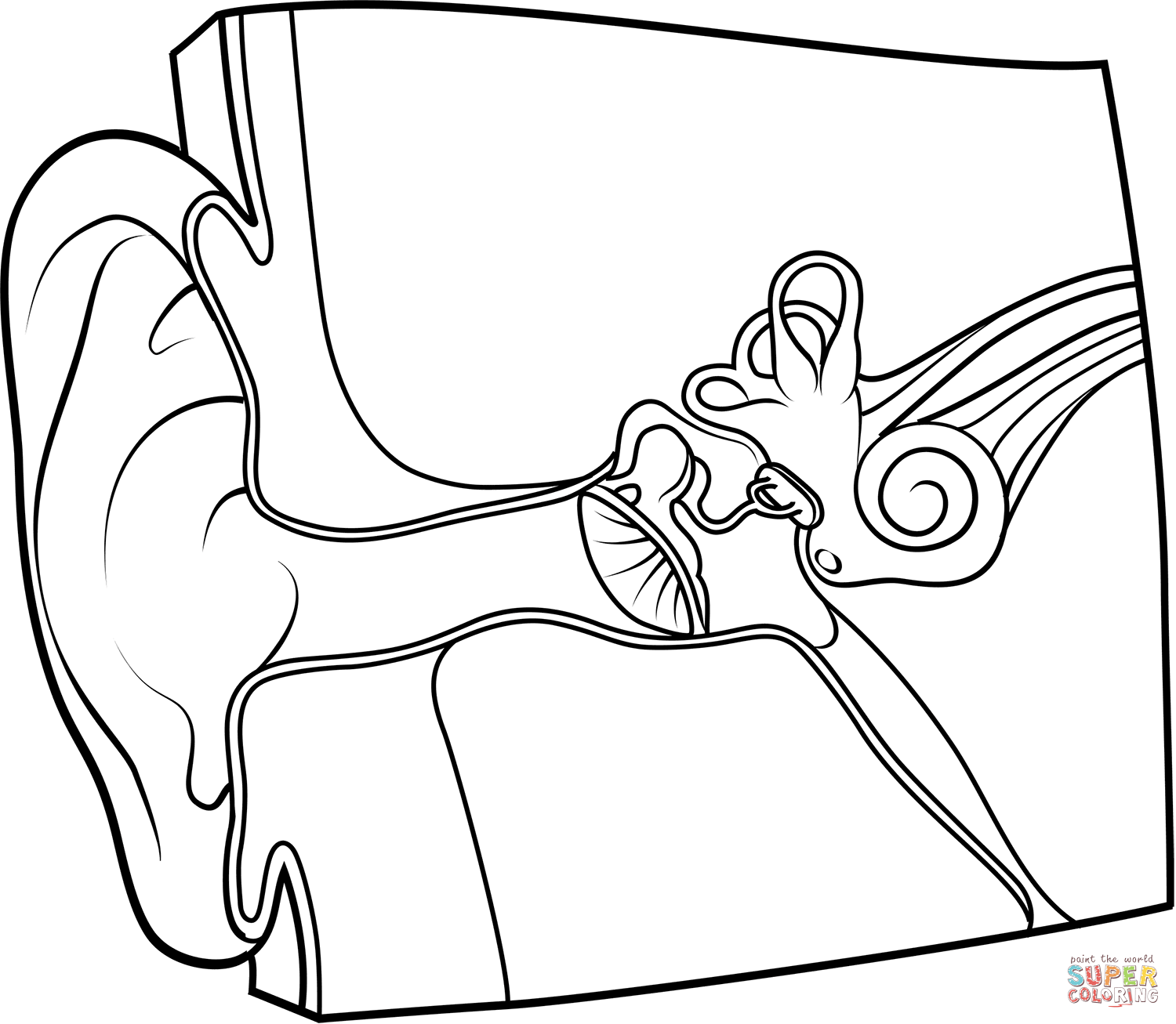 Dibujo de anatomãa del oãdo para colorear dibujos para colorear imprimir gratis