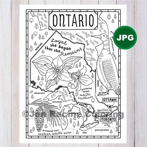 Pãgina para colorear de ontario canadã provincia mapa provincial vida silvestre sãmbolos flores pãgina para colorear jpg descargar