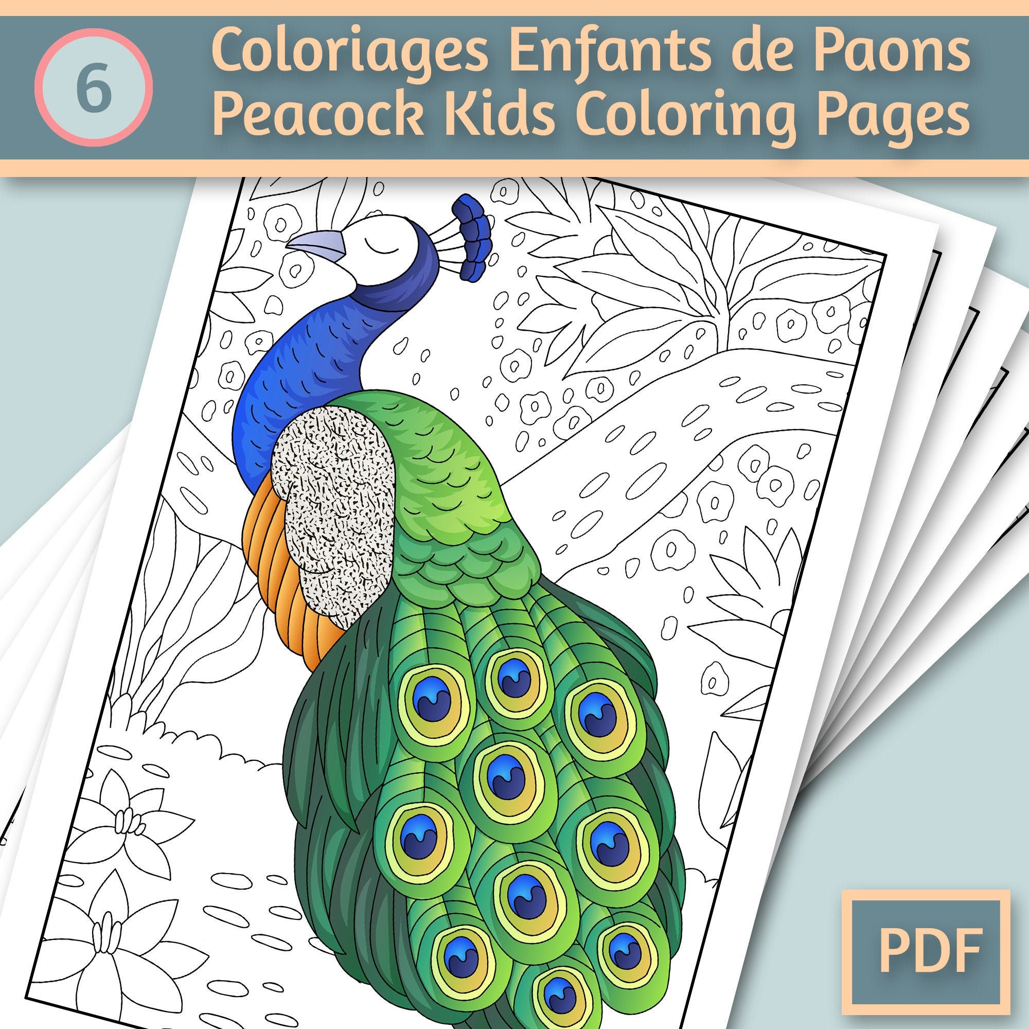 Pãginas para colorear de pãjaros pavo real para niãos nião para colorear pdf colorear digital para imprimir lindo regalo infantil