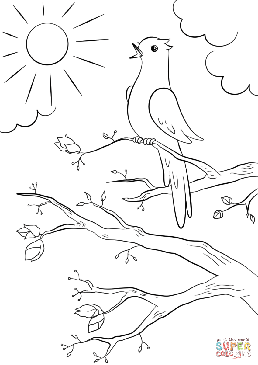 Spring bird coloring page free printable coloring pages