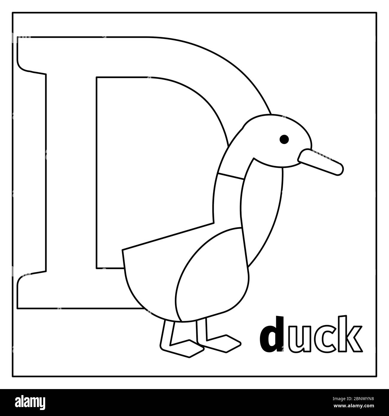 Coloring page or card for kids with english animals zoo alphabet duck letter d vector illustration stock vector image art