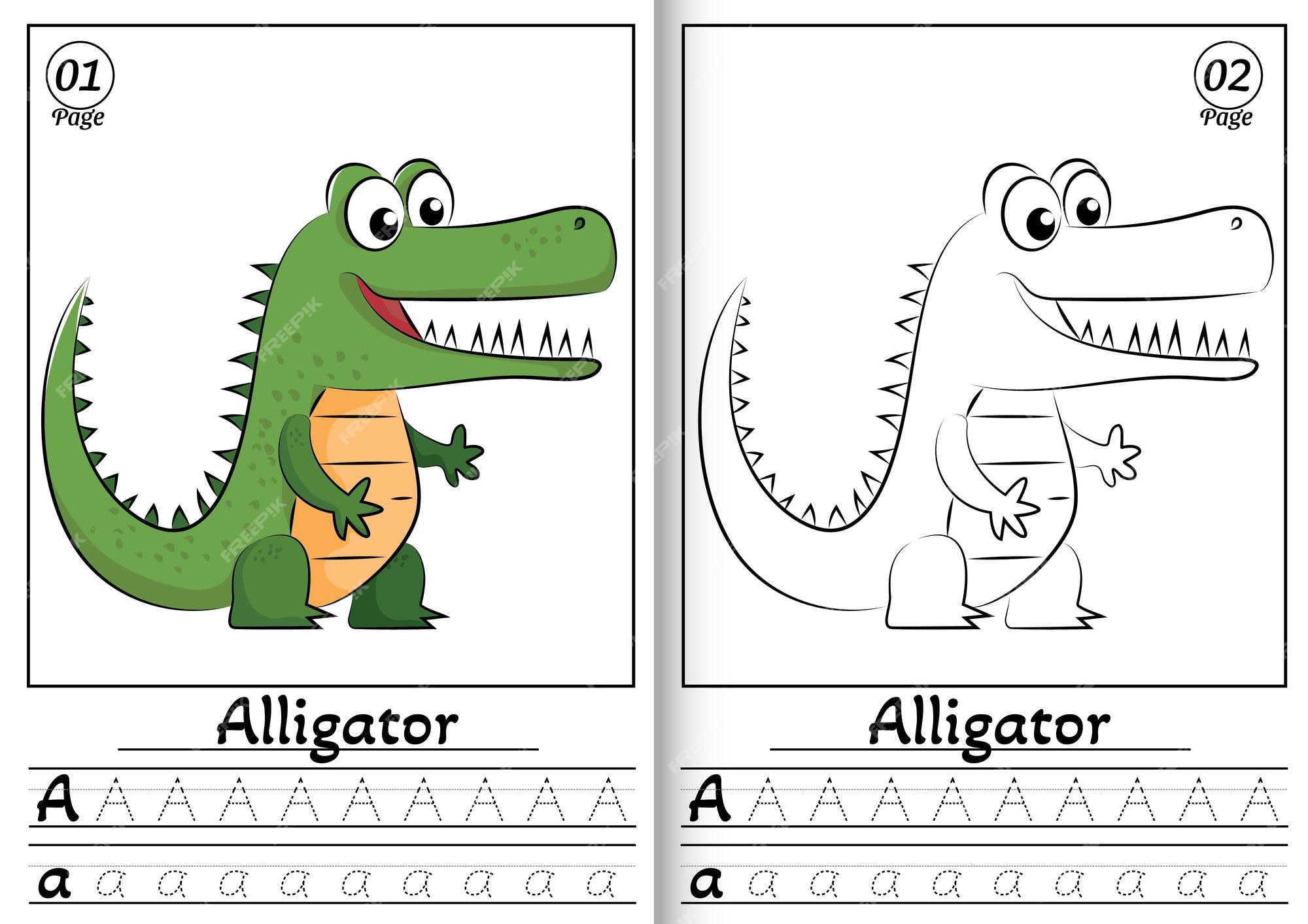 Alligator alphabet abc coloring page a rastreo de todas las letras del alfabeto inglãs actividad precolar vector premium