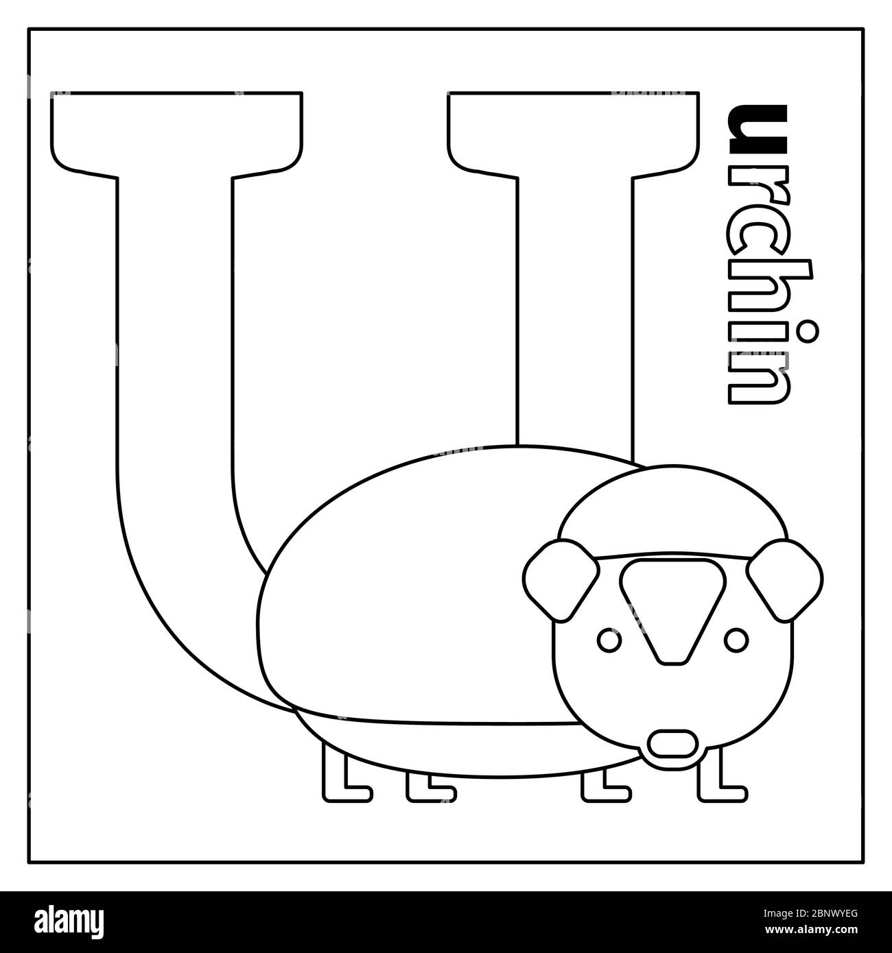 Coloring page or card for kids with english animals zoo alphabet urchin letter u vector illustration stock vector image art