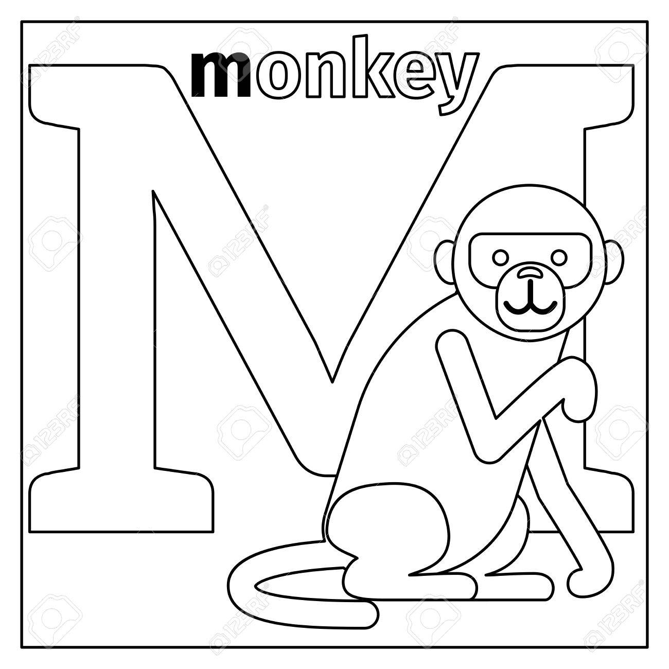 Coloring page or card for kids with english animals zoo alphabet monkey letter m vector illustration royalty free svg cliparts vectors and stock illustration image