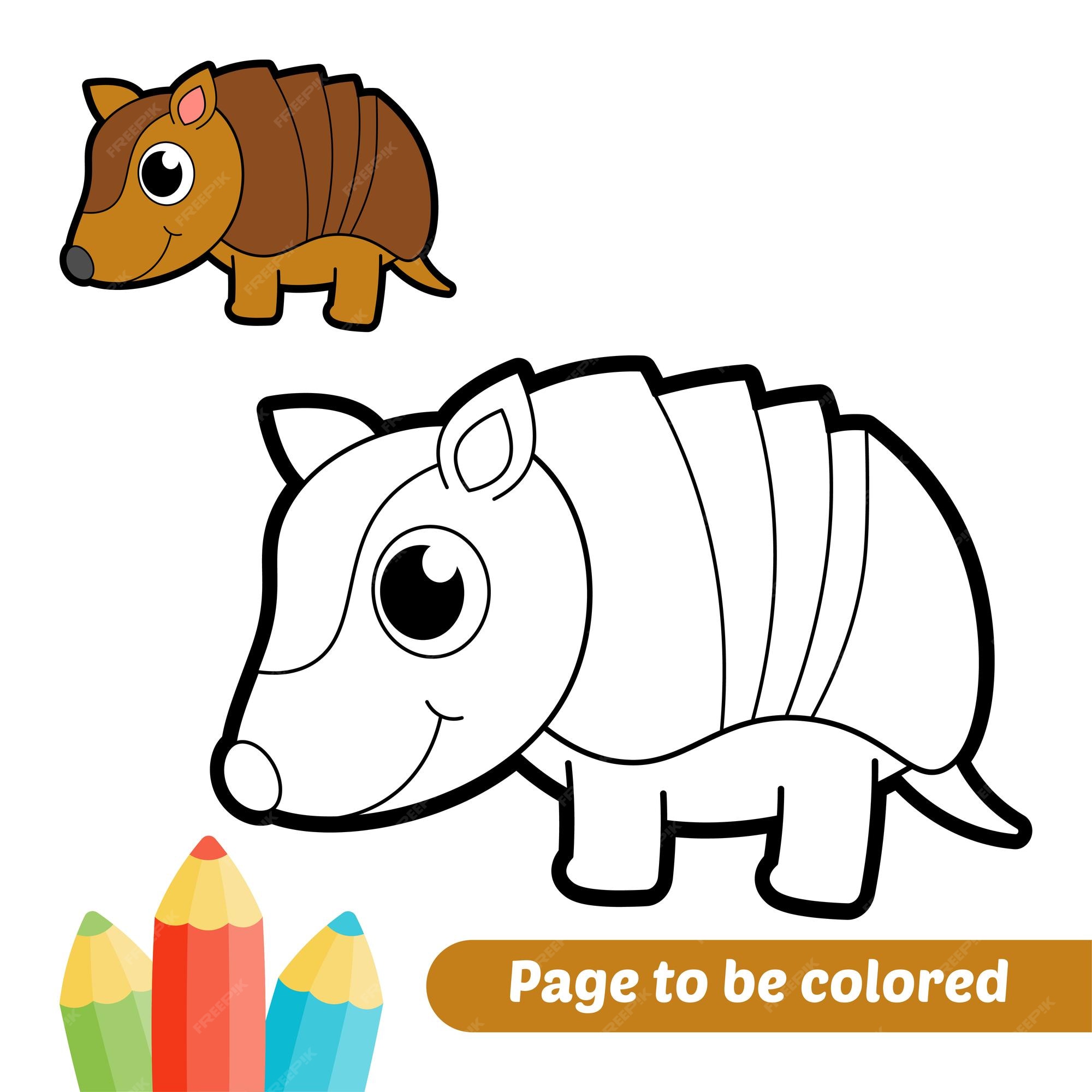 Premium vector coloring book for kids armadillo vector