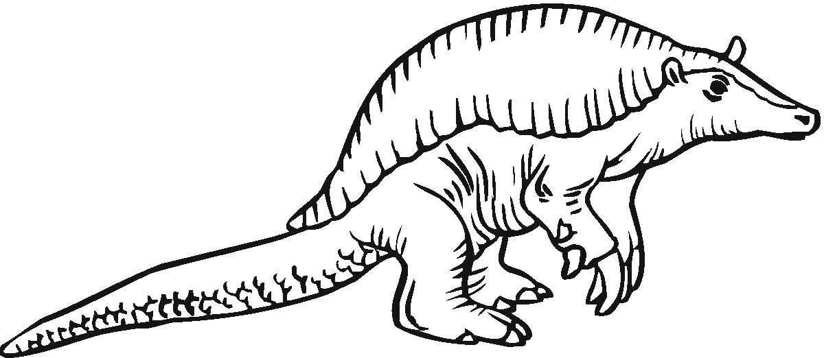 Armadillo coloring pages