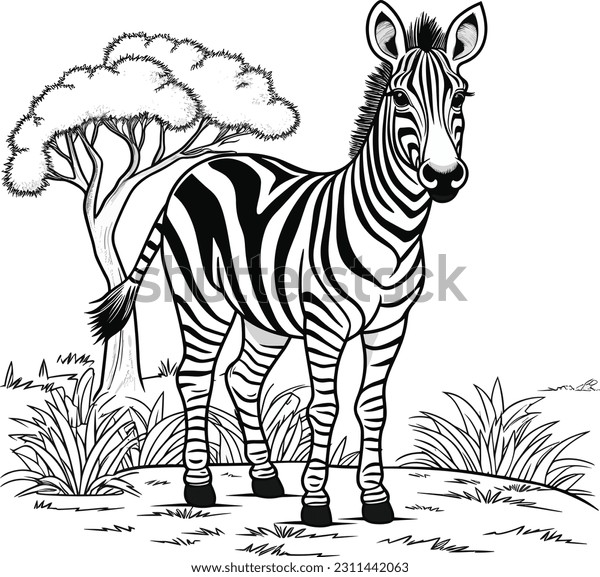 Imãgenes fotos de stock objetos en d y vectores sobre zebra coloring book