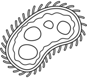 Biology coloring pages free coloring pages