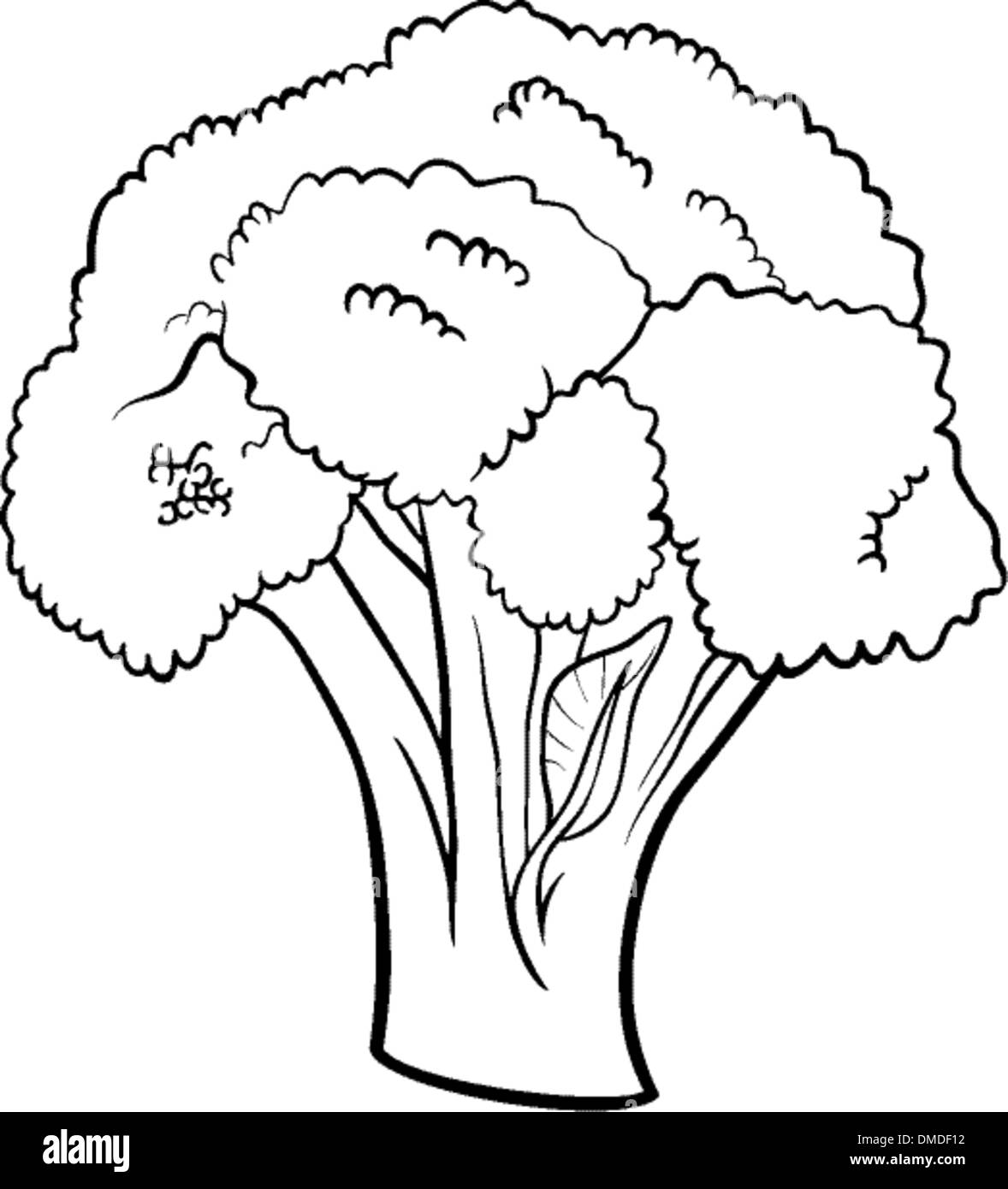 Brãcoli vegetal para el libro de colorear dibujos animados imagen vector de stock