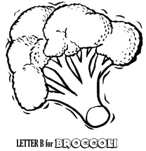 Green broccoli coloring pages pdf for kids