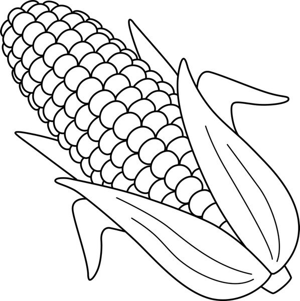 Imãgenes fotos de stock objetos en d y vectores sobre corn coloring page