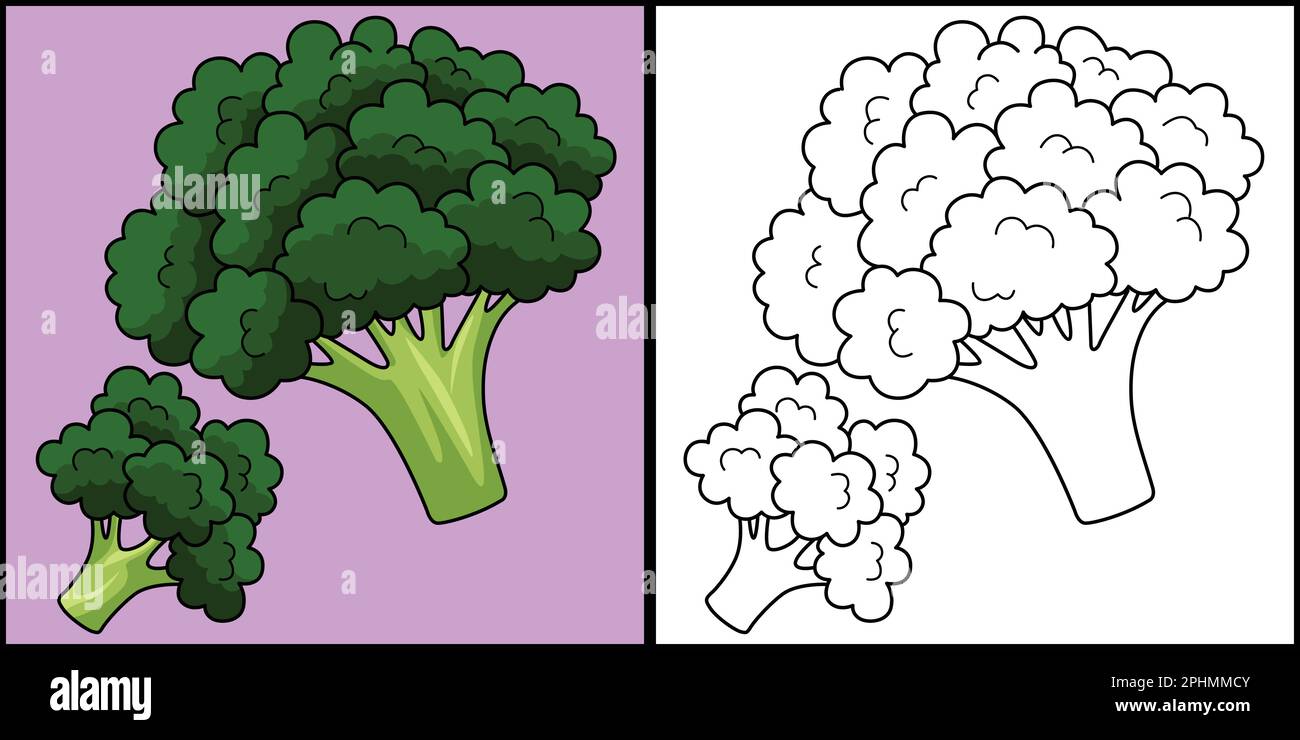 Brãcoli vegetal para colorear ilustraciãn de pãgina imagen vector de stock