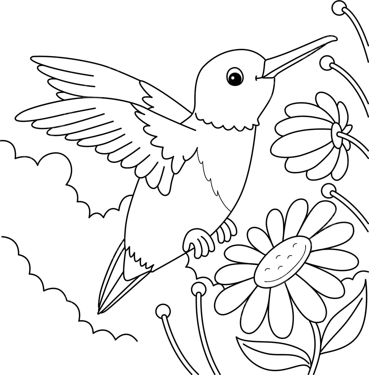 Dibujo de colibrã animal pãgina para colorear niãos quema amãrica fondo vector png dibujos dibujo de animal dibujo de pãjaro dibujo de colibrã png y vector para dcargar gratis