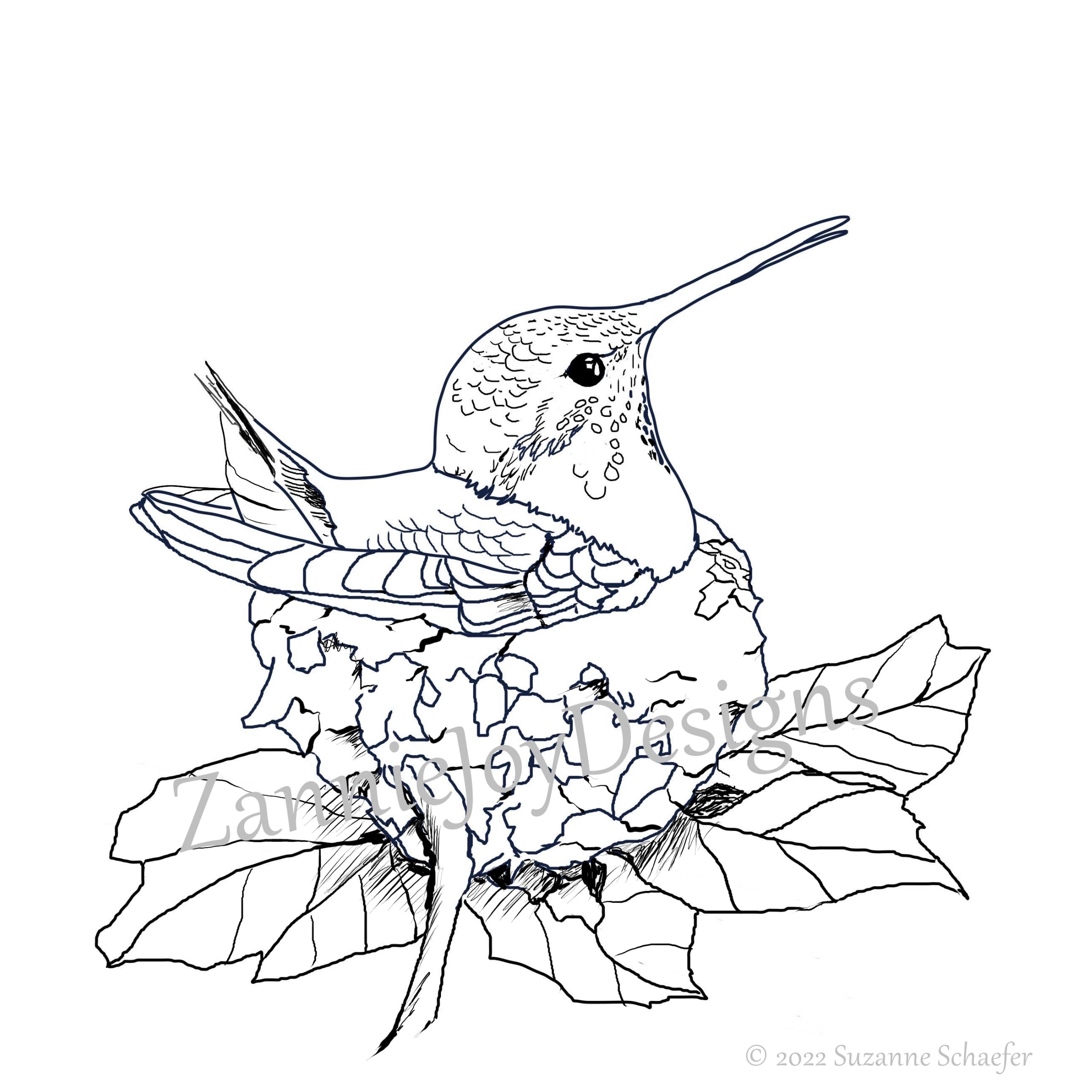 Colibrã en arte de lãnea de nido dãa de la madre dibujo de lãnea de tinta pãgina para colorear descarga instantãnea colibrã descargable