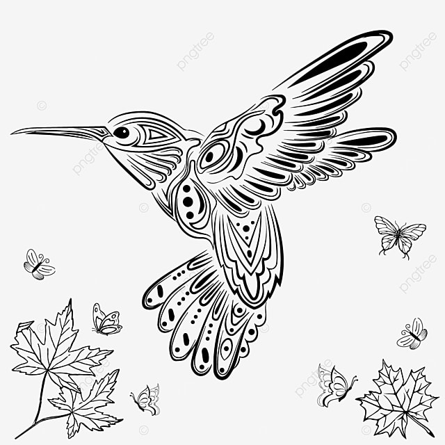 Dibujo de colibrã decorativos mandala pãginas para colorear adultos pãjaros cardenal blanco y negro ilustraciãn arte