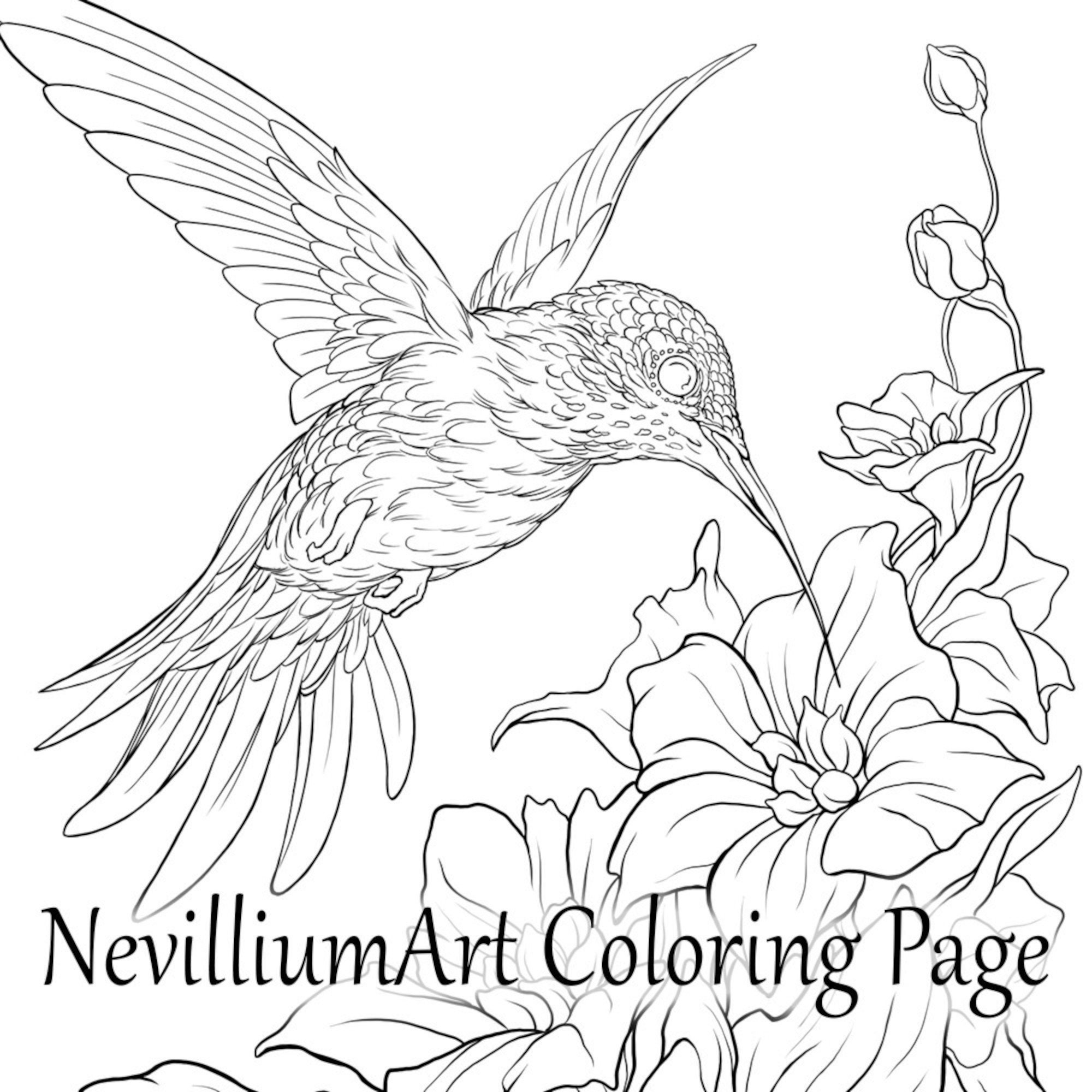 Pãgina para colorear del vuelo del colibrã nevilliumart descarga instantãnea de archivos jpeg y pdf imprimibles