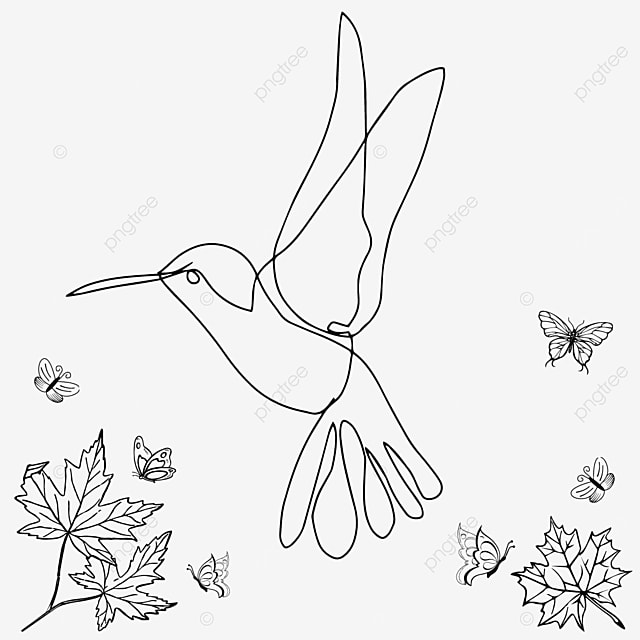 Dibujo de colibrã decorativos mandala pãginas para colorear adultos pãjaros cardenal ilustraciãn arte lãnea en blanco