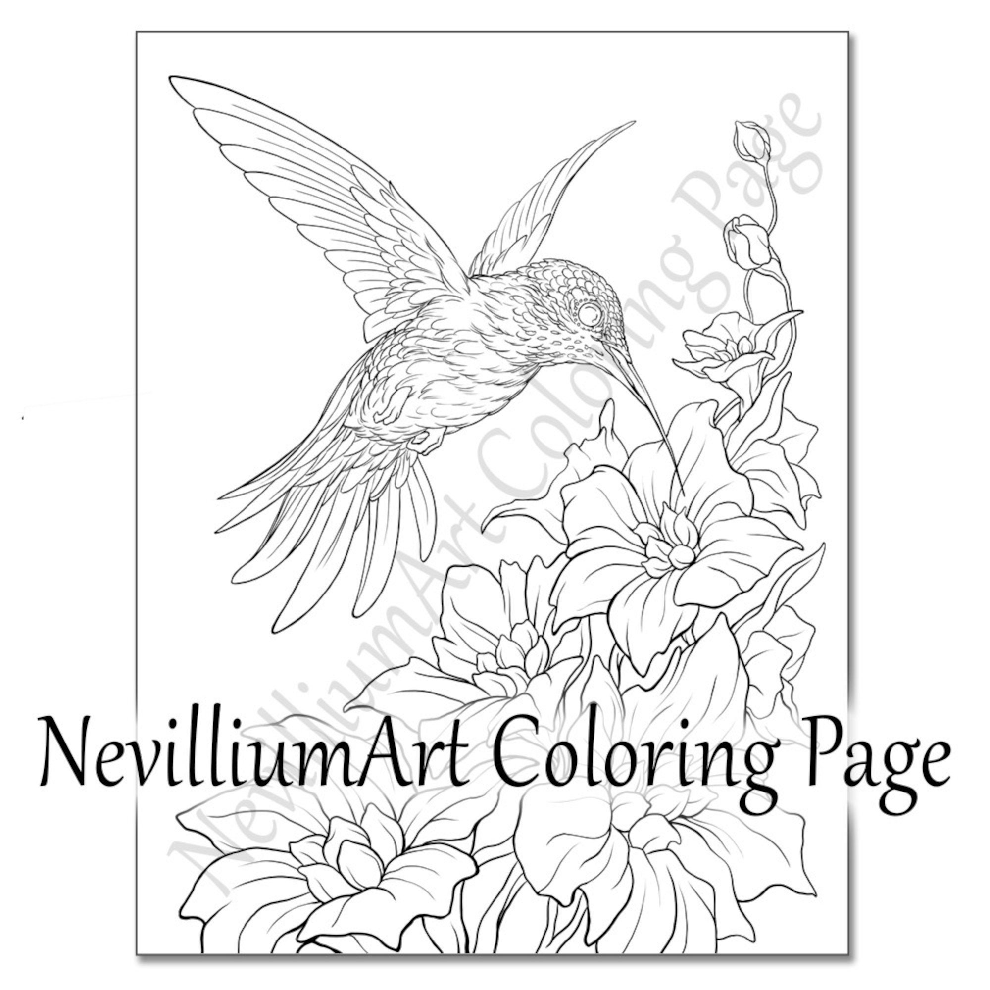 Pãgina para colorear del vuelo del colibrã nevilliumart descarga instantãnea de archivos jpeg y pdf imprimibles