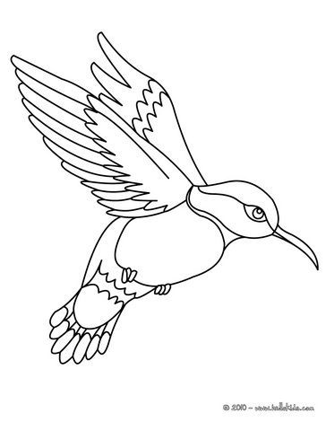 Bird coloring pages