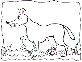 Coyote coloring pages