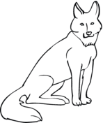 Coyote coloring pages free coloring pages