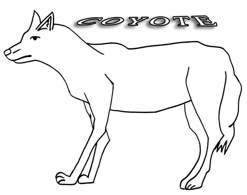 Printable coyote coloring pages for kids