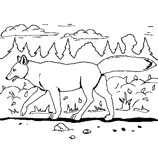 Dibujo de coyote para colorear