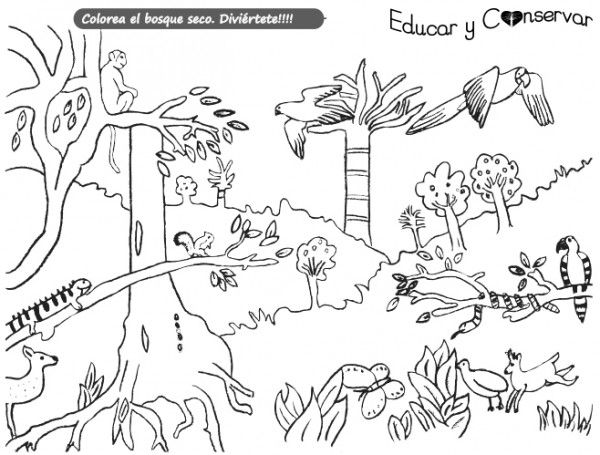 Ecosistema terrestre y acuatico dibujo de un ecosistema ecosistemas