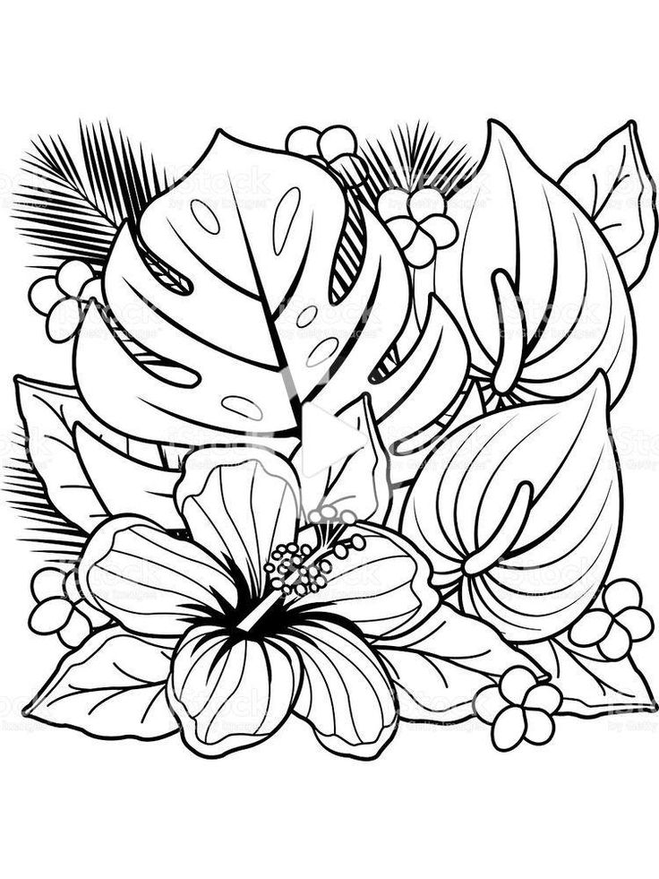 Dibujos para colorear de flor hd flower coloring sheets printable flower coloring pag flower coloring pag