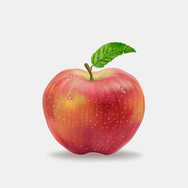 Dibujo realista de una manzana roja vector vector premium