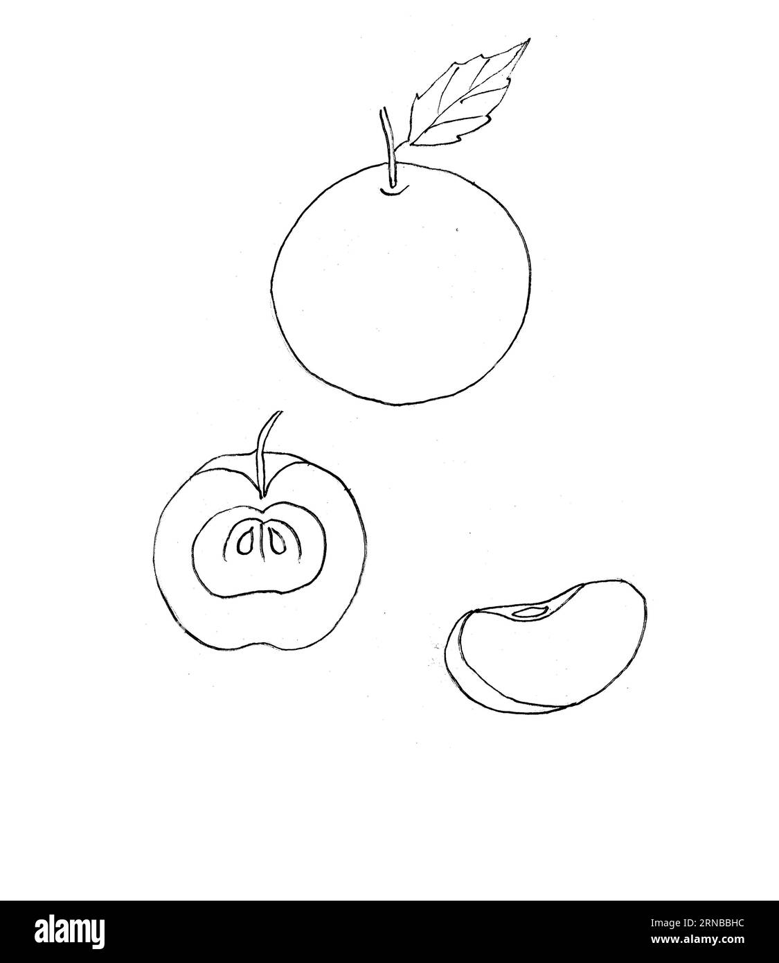 Media manzana dibujo vectorial imãgen recortadas de stock