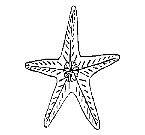 Starfish coloring page