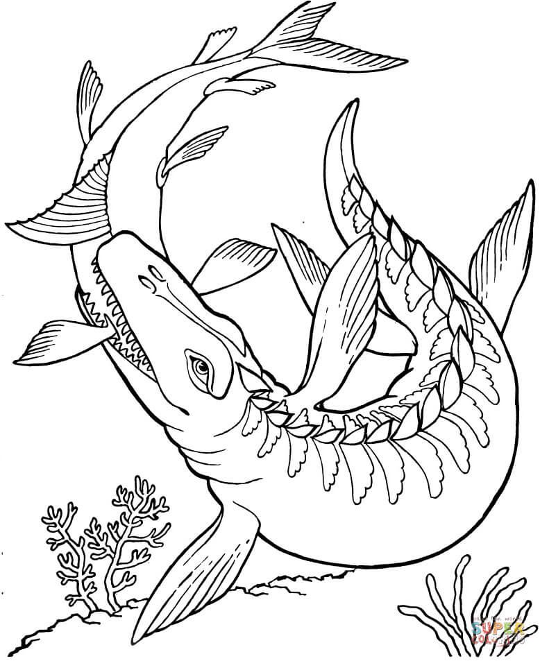 Discover amazing mosasaurus coloring pages