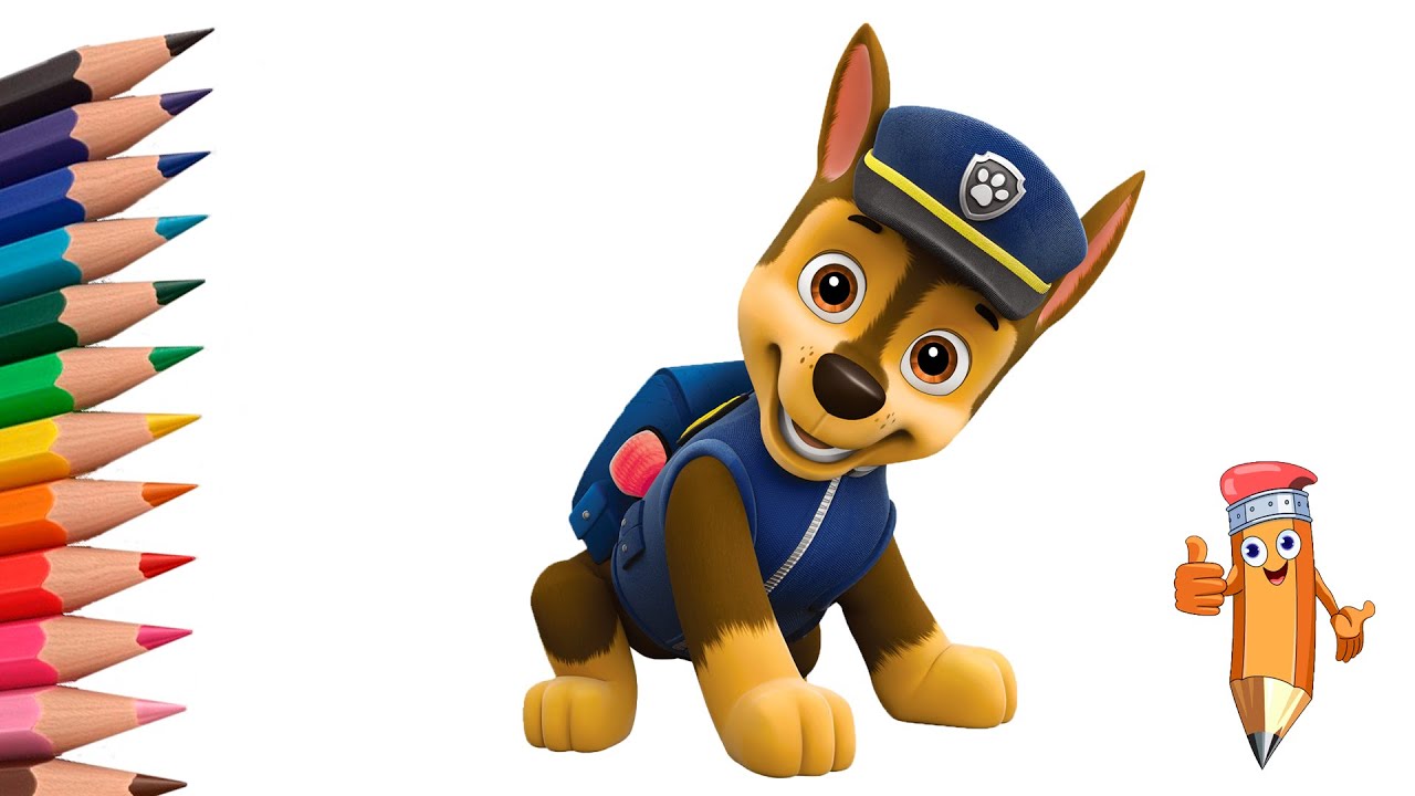 How to draw paw patrol chase easy step by step